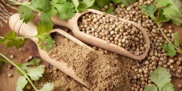 فروش تخم گشنیز پودر شده + قیمت خرید به صرفه